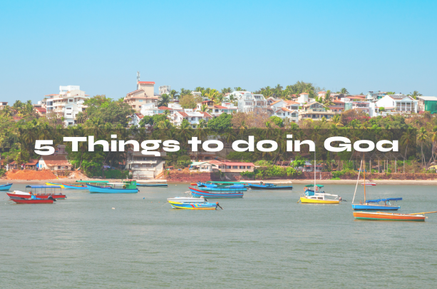 5 Things to do in Goa